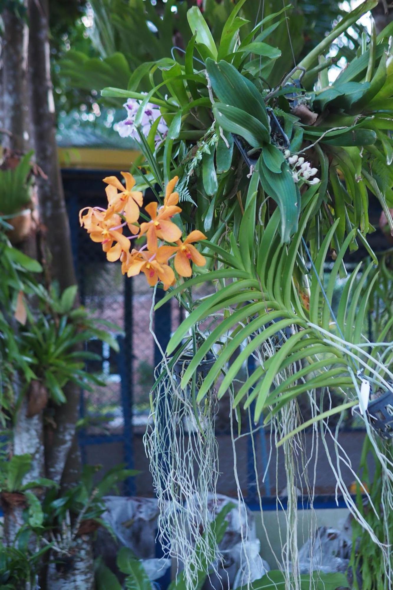 Villa Omloft Phuket Ngoại thất bức ảnh